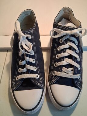 Converse Navy and White Low-Top All Star Sneakers